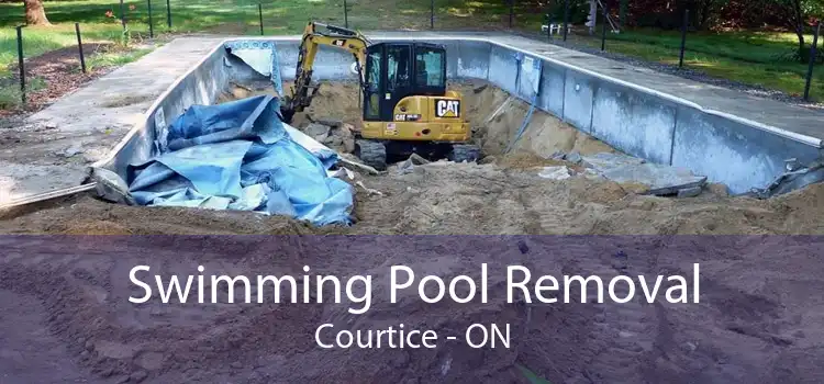 Swimming Pool Removal Courtice - ON