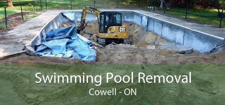 Swimming Pool Removal Cowell - ON