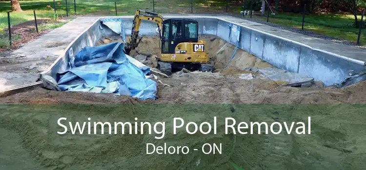 Swimming Pool Removal Deloro - ON