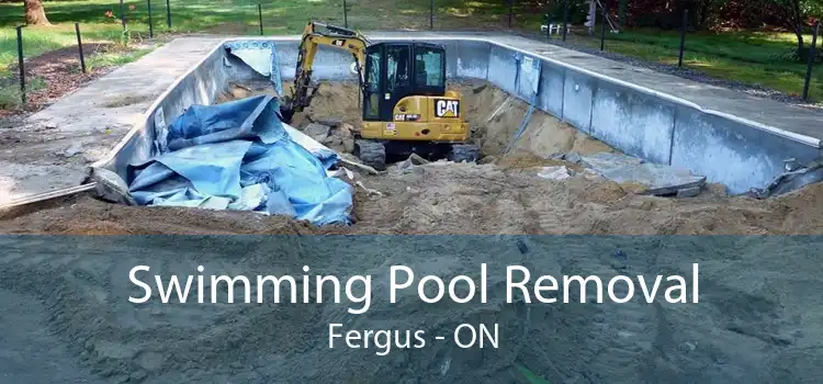 Swimming Pool Removal Fergus - ON