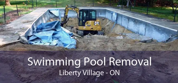 Swimming Pool Removal Liberty Village - ON