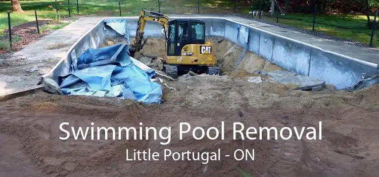 Swimming Pool Removal Little Portugal - ON