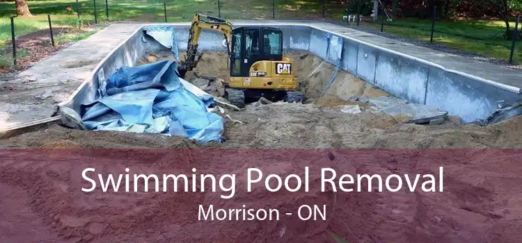 Swimming Pool Removal Morrison - ON