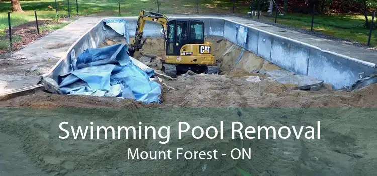 Swimming Pool Removal Mount Forest - ON