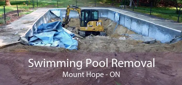 Swimming Pool Removal Mount Hope - ON