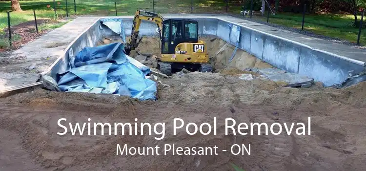 Swimming Pool Removal Mount Pleasant - ON