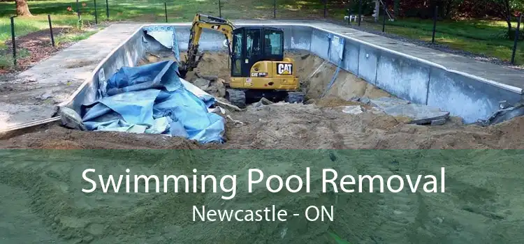 Swimming Pool Removal Newcastle - ON