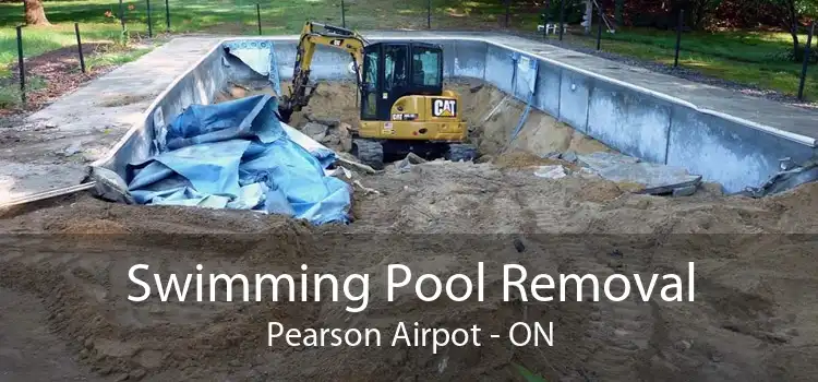 Swimming Pool Removal Pearson Airpot - ON