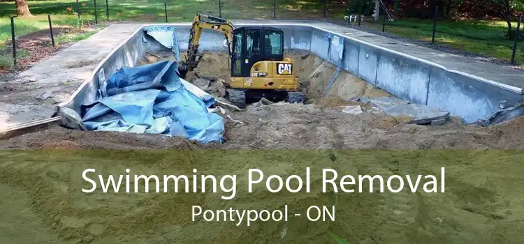 Swimming Pool Removal Pontypool - ON