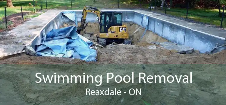 Swimming Pool Removal Reaxdale - ON