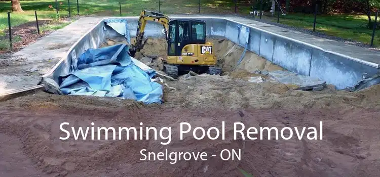 Swimming Pool Removal Snelgrove - ON