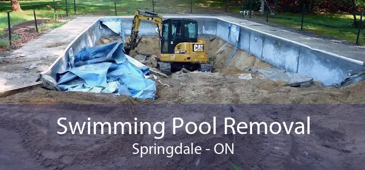 Swimming Pool Removal Springdale - ON
