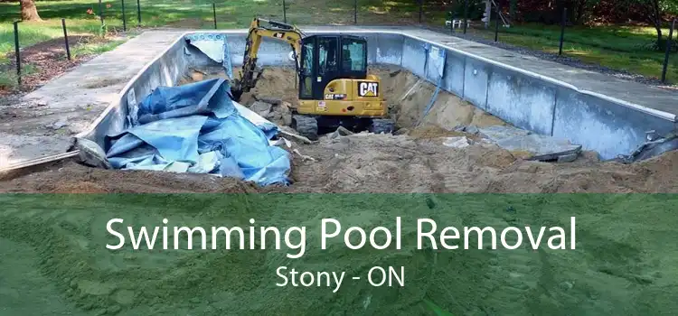 Swimming Pool Removal Stony - ON