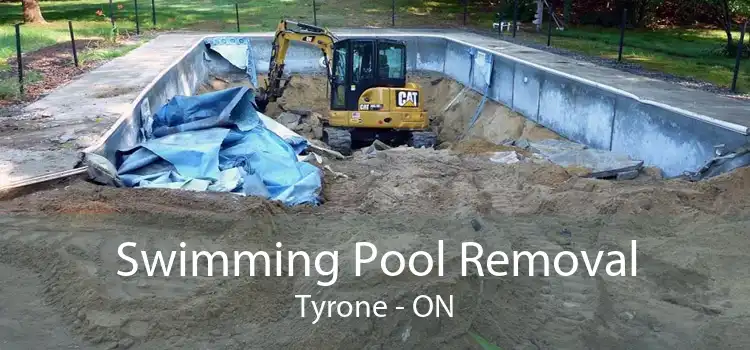 Swimming Pool Removal Tyrone - ON