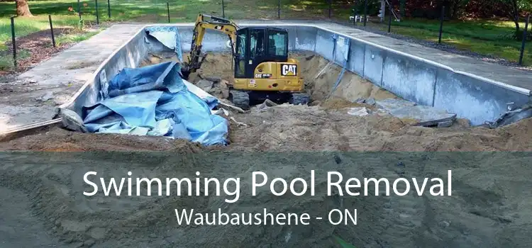 Swimming Pool Removal Waubaushene - ON