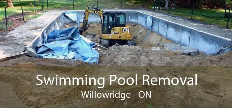 Swimming Pool Removal Willowridge - ON