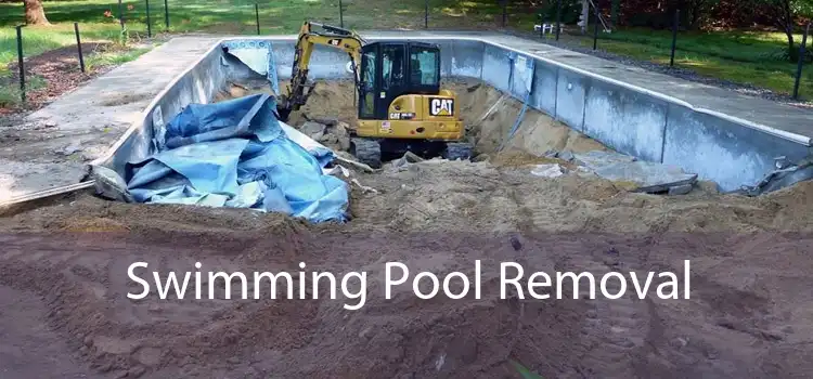 Swimming Pool Removal